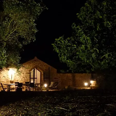 La Pajara Del Capitano
